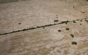 Declaran la emergencia agropecuaria nacional para Chaco y parte de Santa Fe, por sequía del verano