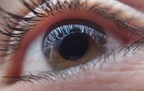 Nuevo avance para tratar la ceguera con cultivo de células de la retina