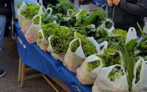 Apóstoles: Este día jueves en el Módulo Informática de la Sede Apóstoles, estarán disponibles combos de verduras para su compra