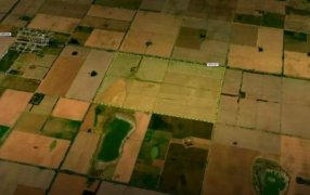 PT Farm suma a Tracestory como socio estratégico para potenciar la trazabilidad agroalimentaria