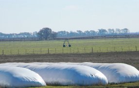 Por la incertidumbre política y climática, los productores no quieren vender granos