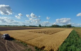 El campo experimental PT Farm fue sede de un ensayo innovador junto a Spraytec