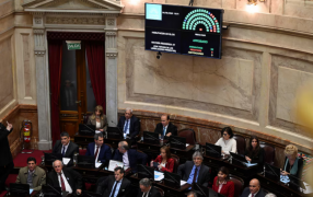 Senado: La oposición dejó sin efecto el veto del Presidente Javier Milei y reactivó la Ley de Emergencia en Discapacidad