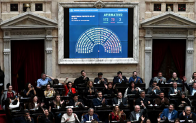 Uno por uno: Así votaron los Diputados el rechazo al veto del Presidente Javier Milei a la Ley de Emergencia en Discapacidad