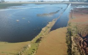 Inundaciones en el corazón bonaerense: Estiman más de un millón de hectáreas bajo el agua