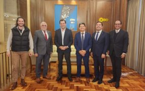 CAME, la Secretaría PyME y la SEBRAE analizaron estrategias para el desarrollo de las PyMEs