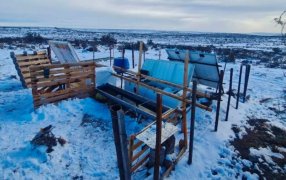 El bebedero que evita el congelamiento del agua en el campo