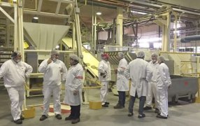 Estiman que uno de cada tres desocupados podría encontrar empleo gracias al agro