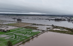 Lluvias de hasta 300 milímetros, la Tormenta de Santa Rosa tuvo un impacto fuerte e inédito en la historia
