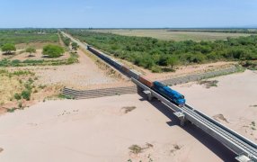 Un tren para el norte argentino: Cómo es el proyecto ferroviario del productor que presidirá el Senado