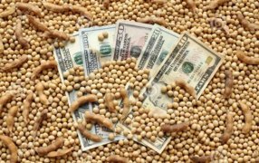 En su retorno, el “dólar soja” fue recibido con fuertes críticas del campo