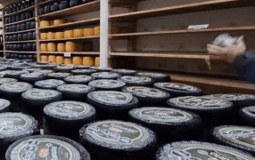 Ya es oficial: Las exportaciones de lácteos, sin retenciones hasta fin de año