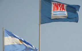 Nuevo Decreto: Forzado por el Congreso, el Gobierno Nacional da un paso atrás con el INTA, el INASE y el INV