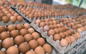 La insólita explicación que dan por el aumento de los huevos