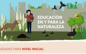 Ciclo lectivo 2023: Fundación Vida Silvestre Argentina ofrece materiales de educación ambiental gratuitos