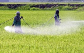 Misiones prohibió el glifosato y la Mesa de Enlace lo cuestionó con dureza: “Un embate a la producción”