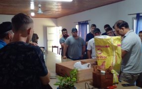 ¿Qué mirar a la hora de elegir un plantín de yerba mate?