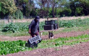 Bono para trabajadores rurales: La Mesa de Enlace y CAME iniciarán un reclamo formal ante el Gobierno Nacional