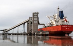 En Octubre siguen los efectos del “dólar soja”: Los embarques de poroto aumentarán 80%