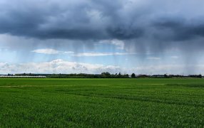 «Existe una probabilidad del 89% para que se desarrolle un evento Niño”