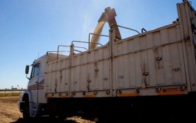 La liquidación de granos aumentó 87% en Junio y 40% en el primer semestre