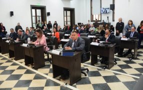 Concejales posadeños aprobaron la adhesión al Programa Municipal de Protección de Abejas