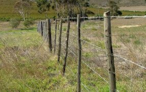 La provincia donde más tierras se venden: Mendoza, a la cabeza del mercado inmobiliario rural