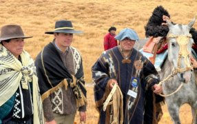 El RENATRE participó en la 49° Edición de la Fiesta del Ovejero en Tierra del Fuego