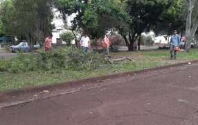 Apóstoles: Fuertes vientos azotaron la ciudad con caídas de árboles, desprendimiento de gajos con la consecuencia que el tendido de la red del servicio eléctrico fue arrastrado hacia el suelo