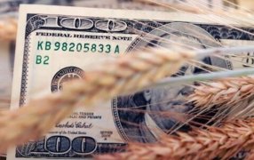 Las cadenas del agro rechazaron la continuidad del fideicomiso triguero, con fondos de las retenciones