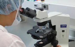 A qué prestar atención: Las dos enfermedades que puede desencadenar la insuficiencia renal