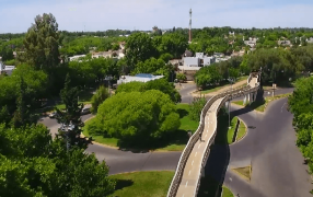 Día del Árbol: En Mendoza diseñaron una App sobre arbolado única en Latinoamérica