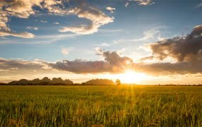 El mercado inmobiliario rural pone el ojo en nuevas regiones productivas