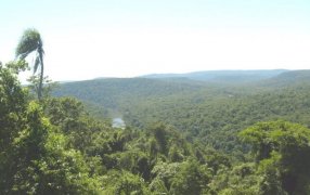 Respaldo absoluto del CoIForM al INTA ante la delicada situación que atraviesa el organismo más territorial y estratégico para el agro argentino