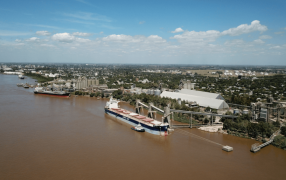 En Mayo, la liquidación de divisas fue la mayor en dos años y 2025 sigue dentro del podio histórico