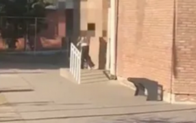 Pánico en Mendoza por una adolescente tiene 14 años que ingresó armada a un colegio, realizó disparos y está atrincherada