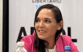 Pamela Encina: "Hicimos las presentaciones judiciales correspondientes para que se respete la voluntad de los misioneros de tener un equilibrio en la Cámara"