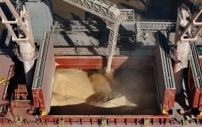 Histórico: Por primera vez, China compra harina de soja argentina