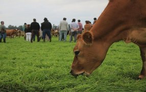 Córdoba: Productores lecheros autoconvocados de la localidad de Ucacha se manifestarán este  viernes