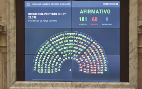 Contundente rechazo a los vetos del Presidente Javier Milei: Diputados ratificó el financiamiento del Garrahan y las Universidades