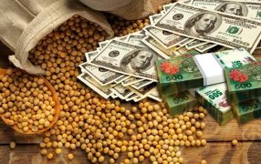 Sequía: en lo que va de Marzo el campo liquidó apenas 99 millones de dólares, es el peor registro desde 2003