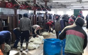 Aumentan las prestaciones por desempleo hasta un 20% para trabajadores rurales de zonas desfavorables