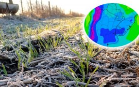 El frío polar y las heladas extendidas se mantendrían hasta inicios de Julio en la región núcleo