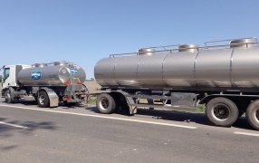 La producción lechera argentina crecería solo un 0,36% este año