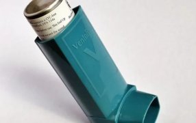 Una de las enfermedades respiratorias más frecuentes: El asma es una de las causas más frecuentes de internación en los niños