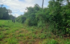 Misiones: Hallaron el cuerpo de una mujer de 61 años en un baldío de la ciudad de Oberá, se investigan las causales del deceso