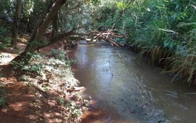 Misiones: Niña de un año y cuatro meses de edad murió ahogada en arroyo de Andresito
