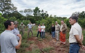 Misiones: Jornada de trabajo del INYM junto a productores, cooperativas y secaderos en la localidad de Guaraní