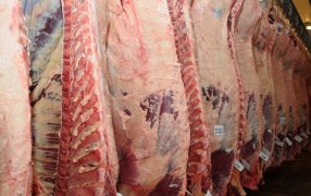 La novela sin fin del “troceo”: la media res seguirá vigente al menos hasta el 15 de Enero