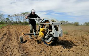 Desarrollan un microtractor para producciones de baja escala